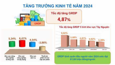 Thông cáo báo chí tình hình Kinh tế - Xã hội năm 2024 tỉnh Đắk Nông