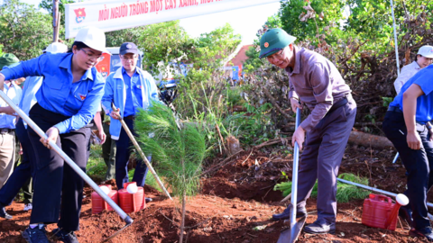 Đắk Nông phát động trồng 1.300 cây xanh nhân dịp Tết trồng cây đời đời nhớ ơn Bác Hồ năm 2025