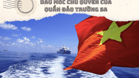 Triển lãm trực tuyến “Trường Sa xanh” để phục vụ công tác thông tin đối ngoại về biển, đảo Việt Nam